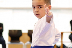 2024, Junior Karate League, Brugg, Windisch, Schweiz, Kata, Gaetano Diblasi