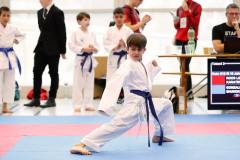2024, Junior Karate League, Brugg, Windisch, Schweiz, Kata, Andy Gonzalez