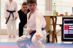 2024, Junior Karate League, Brugg, Windisch, Schweiz, Kata, Peter Feno