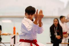 2024, Junior Karate League, Brugg, Windisch, Schweiz, Kata, Devrim Yildirim