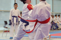 2024, Junior Karate League, Brugg, Windisch, Schweiz, Kumite, Patrick Graf