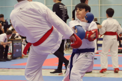 2024, Junior Karate League, Brugg, Windisch, Schweiz, Kumite, Devrim Yildirim