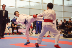 2024, Junior Karate League, Brugg, Windisch, Schweiz, Kumite, Ron Nyffenegger