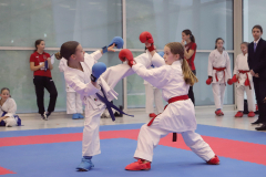 2024, Junior Karate League, Brugg, Windisch, Schweiz, Kumite, Zoe Keller, Julia Battistel