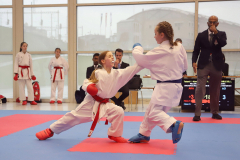 2024, Junior Karate League, Brugg, Windisch, Schweiz, Kumite, Diana Lierau, Ellie Keller