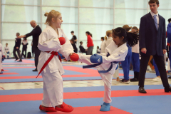 2024, Junior Karate League, Brugg, Windisch, Schweiz, Kumite, Mithusa Rajkumar