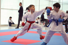 2024, Junior Karate League, Brugg, Windisch, Schweiz, Kumite, Andrei Negara, Patrick Aye