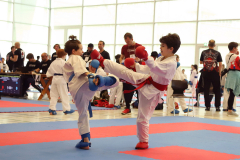 2024, Junior Karate League, Brugg, Windisch, Schweiz, Kumite, Arian Ajvazi