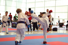 2024, Junior Karate League, Brugg, Windisch, Schweiz, Kumite, Noah Bächler, Miraz Karaman