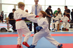 2024, Junior Karate League, Brugg, Windisch, Schweiz, Kumite, Mailo Piconese
