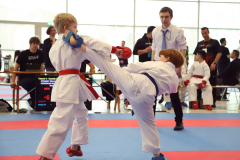 2024, Junior Karate League, Brugg, Windisch, Schweiz, Kumite, Mailo Piconese