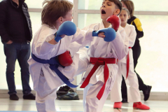 2024, Junior Karate League, Brugg, Windisch, Schweiz, Kumite, Andrei Negara, Jerome Jauch