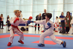 2024, Junior Karate League, Brugg, Windisch, Schweiz, Kumite, Arian Ajvazi