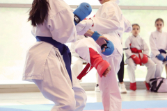 2024, Junior Karate League, Brugg, Windisch, Schweiz, Kumite, Anna Sophia Pfister