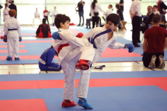 2024, Junior Karate League, Brugg, Windisch, Schweiz, Kumite, Arian Ajvazi, Miraz Karaman