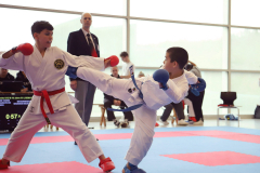 2024, Junior Karate League, Brugg, Windisch, Schweiz, Kumite, Colin McGuinness, Yannis Manoussis