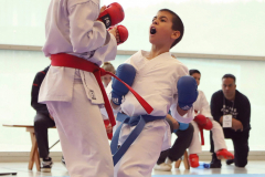 2024, Junior Karate League, Brugg, Windisch, Schweiz, Kumite, Colin McGuinness, Yannis Manoussis