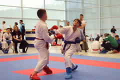 2024, Junior Karate League, Brugg, Windisch, Schweiz, Kumite, Levin Alber, Rinor Mustafa