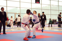 2024, Junior Karate League, Brugg, Windisch, Schweiz, Kumite, Marlo Bugatti