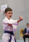 2024, Junior Karate League, Cham, Schweiz, Shukokai Dojo Wetzikon, Mihailo Babic, Kata
