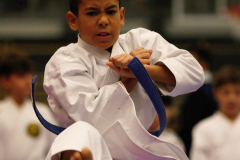 2023, Junior Karate League, Cham, Colin McGuinness, Kata, Schweiz, Shukokai Dojo Wetzikon