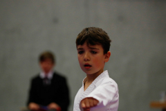 2023, Junior Karate League, Cham, Kata, Schweiz, Shukokai Dojo Wetzikon
