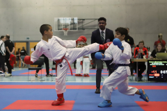 2023, Junior Karate League, Cham, Colin McGuinness, Kumite, Schweiz, Shukokai Dojo Wetzikon
