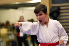 2023, Junior Karate League, Cham, Dennis Alber, Kata, Schweiz, Shukokai Dojo Wetzikon
