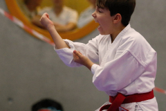 2023, Junior Karate League, Cham, Levin Alber, Kata, Schweiz, Shukokai Dojo Wetzikon