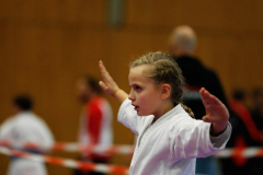 2023, Junior Karate League, Cham, Diana Lierau, Kata, Schweiz, Shukokai Dojo Wetzikon
