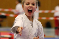 2023, Junior Karate League, Cham, Diana Lierau, Kata, Schweiz, Shukokai Dojo Wetzikon