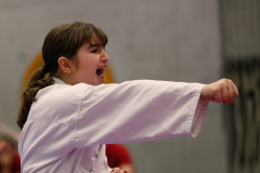 2023, Junior Karate League, Cham, Arvin Caglak, Kata, Schweiz, Shukokai Dojo Wetzikon