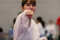 2023, Junior Karate League, Cham, Arvin Caglak, Kata, Schweiz, Shukokai Dojo Wetzikon