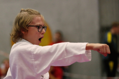 2023, Junior Karate League, Cham, Victor Zakowicz, Kata, Schweiz, Shukokai Dojo Wetzikon