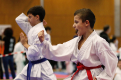 2023, Junior Karate League, Cham, Alessio Stagliano, Kata, Schweiz, Shukokai Dojo Wetzikon