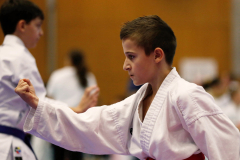2023, Junior Karate League, Cham, Alessio Stagliano, Kata, Schweiz