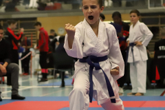 2023, Junior Karate League, Cham, Alessio Stagliano, Kata, Schweiz, Shukokai Dojo Wetzikon