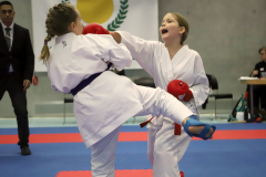 2023, Junior Karate League, Cham, Ilona Nuraj, Kumite, Schweiz, Shukokai Dojo Wetzikon