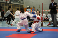 2023, Junior Karate League, Cham, Ellie Keller, Kumite, Schweiz, Shukokai Dojo Wetzikon