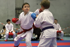 2023, Junior Karate League, Cham, Marlo Bugatti, Kumite, Schweiz, Shukokai Dojo Wetzikon