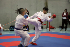 2023, Junior Karate League, Cham, Devrim Yildirim, Kumite, Schweiz, Shukokai Dojo Wetzikon