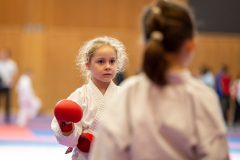 Sina Bertschinger,Junior Karate League,Kumite,Schweiz,Shukokai Dojo Wetzikon,2026,Kriens