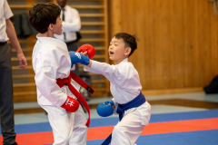 Qiyou He,Junior Karate League,Kumite,Schweiz,Shukokai Dojo Wetzikon,2026,Kriens