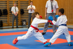 Miron Ajvazi,Junior Karate League,Kumite,Schweiz,Shukokai Dojo Wetzikon,2026,Kriens