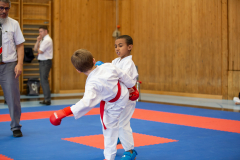 Ferris Freitag,Junior Karate League,Kumite,Schweiz,Shukokai Dojo Wetzikon,2026,Kriens