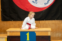 Sina Bertschinger,Junior Karate League,Kumite,Schweiz,Shukokai Dojo Wetzikon,2026,Kriens