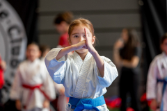Athina Wigger,Junior Karate League,Kata,Schweiz,Shukokai Dojo Wetzikon,2026,Kriens