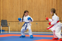 Arya Menessa Tok,Junior Karate League,Kumite,Schweiz,Shukokai Dojo Wetzikon,2026,Kriens