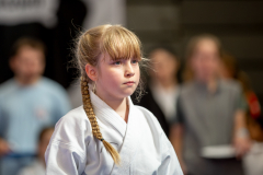 Liora Lippuner,Junior Karate League,Kata,Schweiz,Shukokai Dojo Wetzikon,2026,Kriens