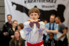 Rian Büsching,Junior Karate League,Kata,Schweiz,Shukokai Dojo Wetzikon,2026,Kriens
